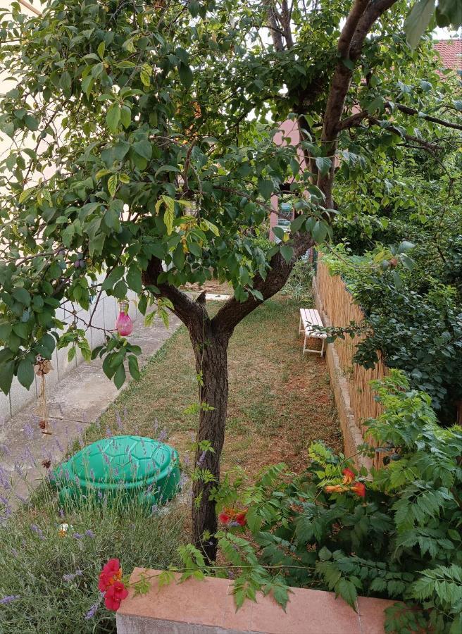 شقة Apartman Mala Cici زادار المظهر الخارجي الصورة